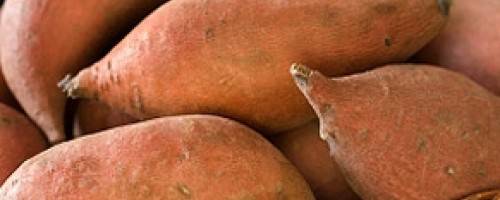Nutrient Brief:  Holiday Sweet Potatoes
