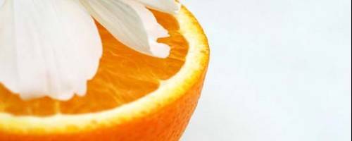 Nutrient Brief:  Audacious Orange!