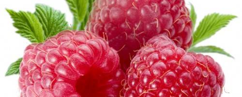 Tart, yet sweet, the raspberry is among nature's super-fruit.  An interesting fact is that the raspberry derives from the family of flowers belonging to the  rose.