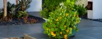 Tower Garden