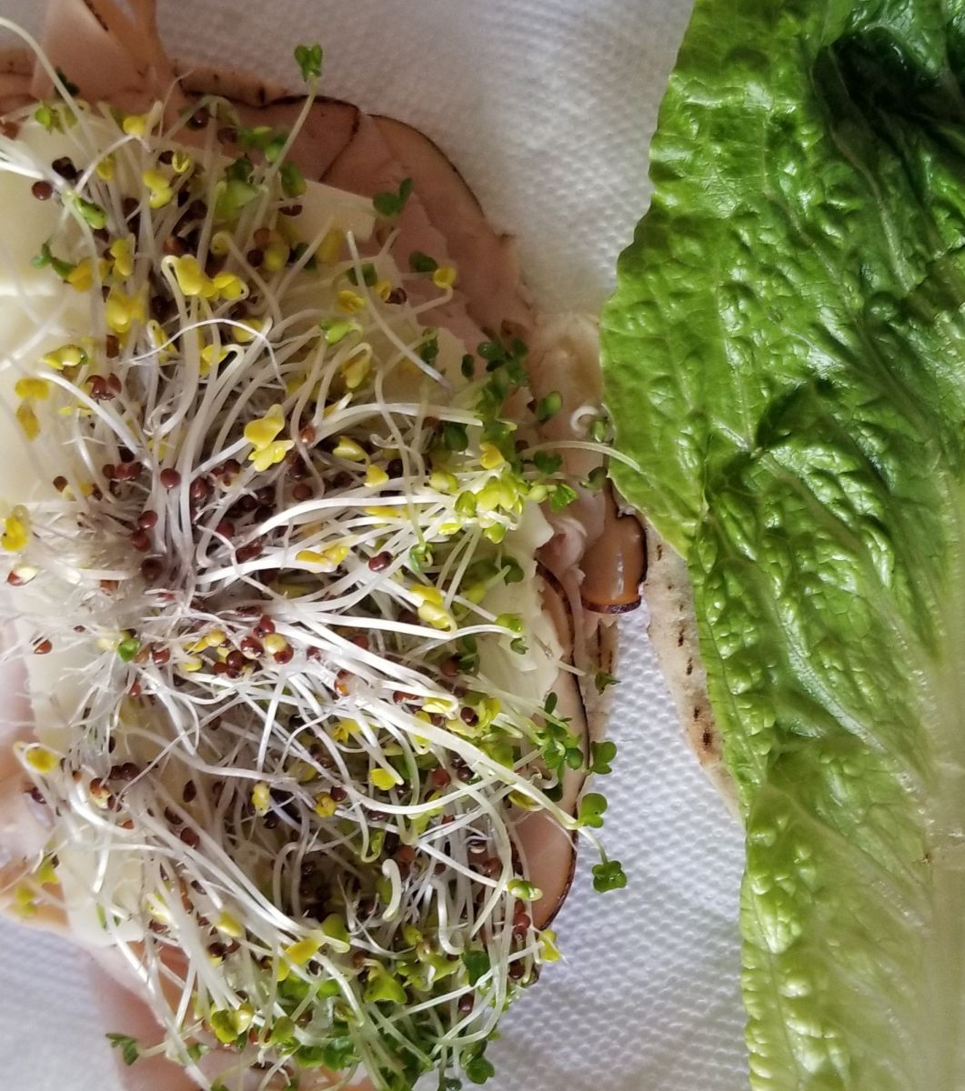 meal with sprouts and a side of bibb lettuce