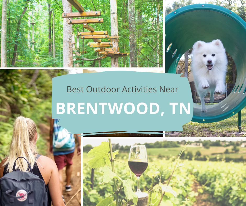 best outdoor activities near brentwood. A walking bridge in a forest and a dog park